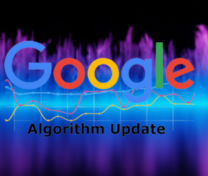 Volatility in Google's Search Ranking Algorithm