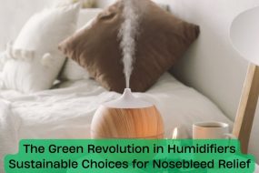 The Green Revolution in Humidifiers_ Sustainable Choices for Nosebleed Relief